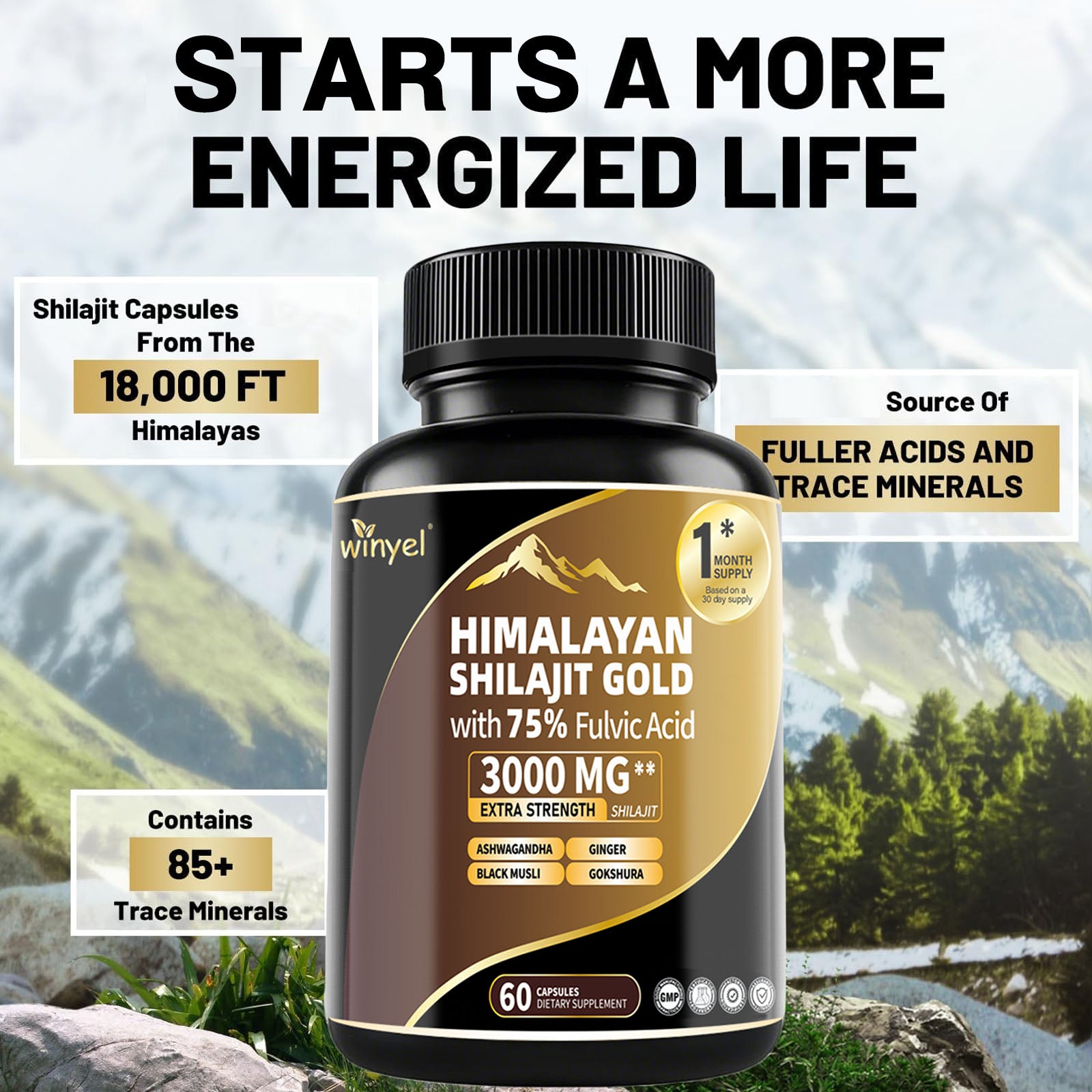 Himalayan Shilajit Gold — energized life