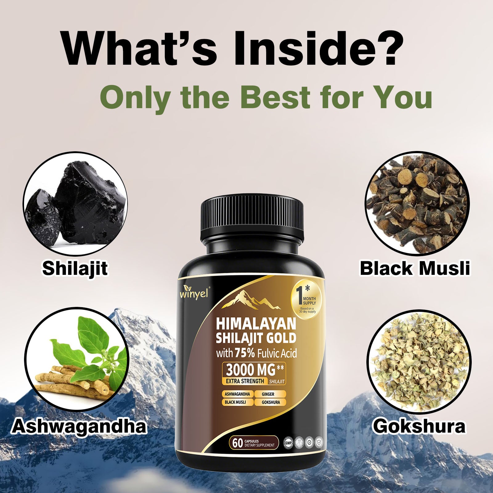 Himalayan Shilajit Gold ingredients